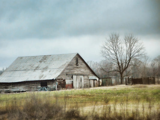 An Old Gray Barn