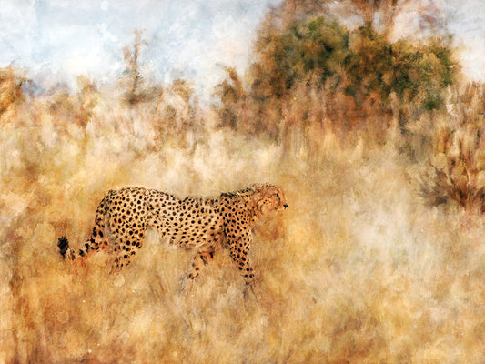 Golden Savanna Cheetah
