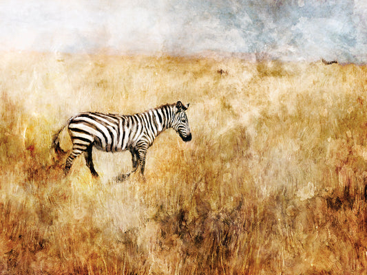 Golden Savanna Zebra