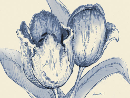 Indigo Tulip