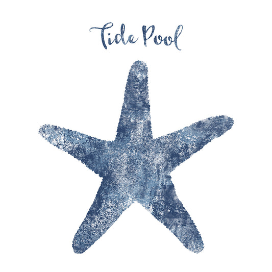 Starfish Tide Pool