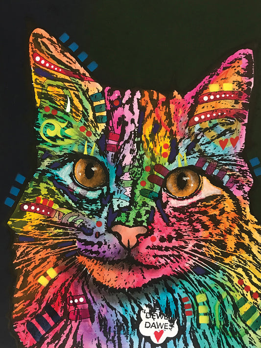 Multicolor Cat