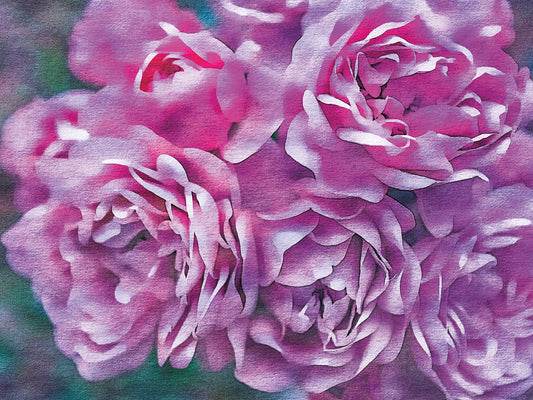 Roses on Canvas 04