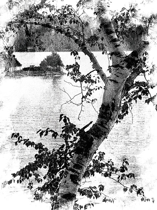 B&W Tree on Lake