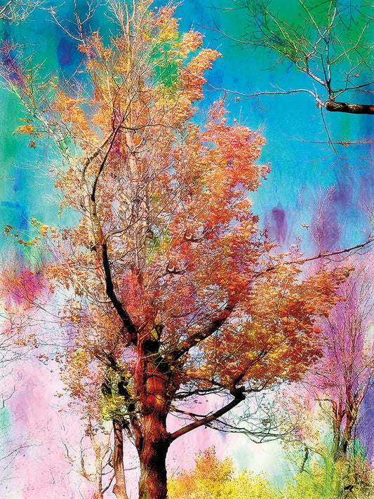 Pastel Autumn Tree