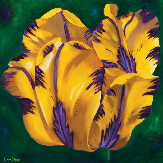 Yellow Virus Tulip