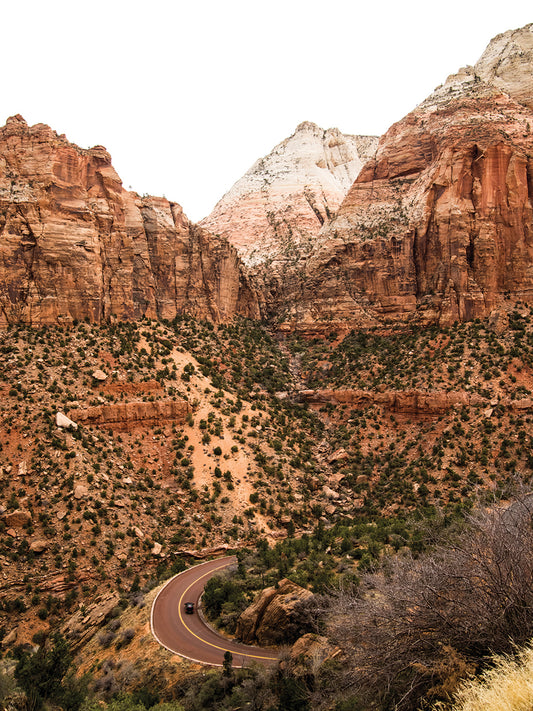 Car In Zion National Park