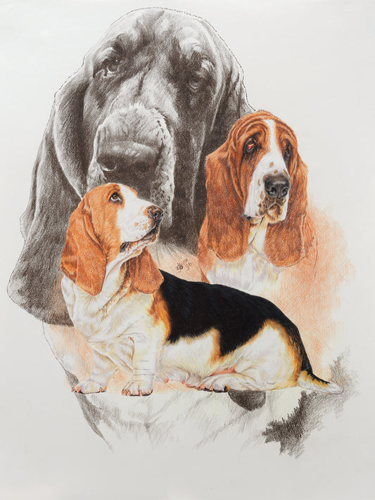 Basset and Ghost