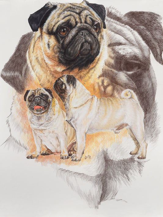 Pug and Ghost