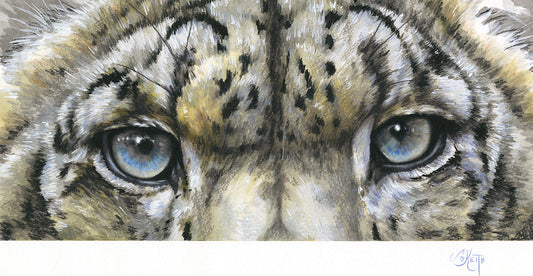 Eye-Catching Snow Leopard