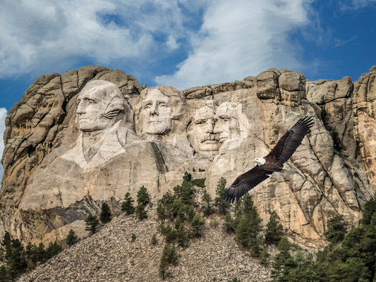 Mount Rushmore And Eagle