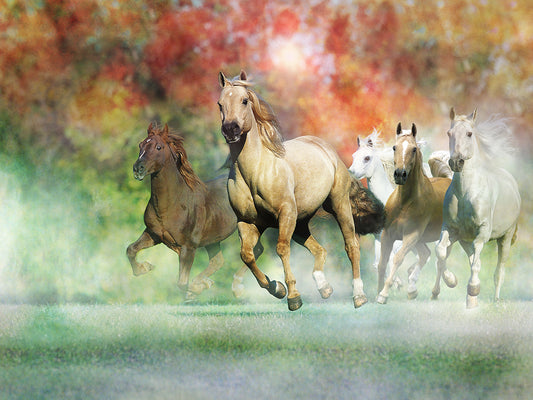 Dream Horses 022