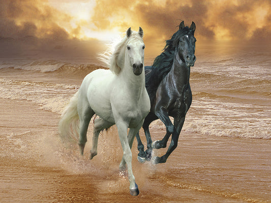 Dream Horses 046