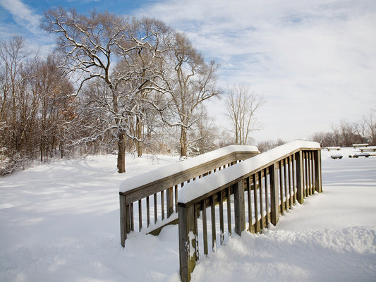 Snow Bridge, Farmington Hills, Michigan ˜09