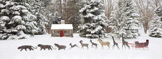 Sleigh in the Snow, Farmington Hills, Michigan ˜09
