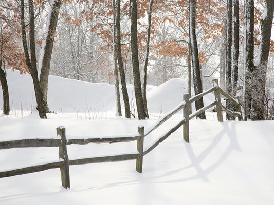 Winter Fence & Shadow, Farmington Hills, Michigan ˜09
