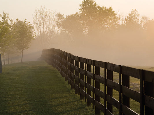 Morning Mist & Fence, Kentucky 08