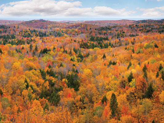 Autumn Palette, Marquette, Michigan '12-color
