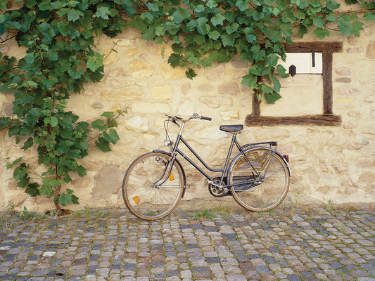 Bicycle, Turckheim, France 99 - Color