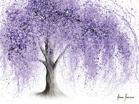 Purple Wishing Willow