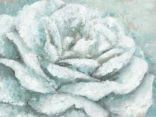 White Rose Splendor