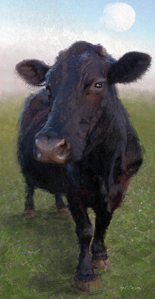 Funky Cow II