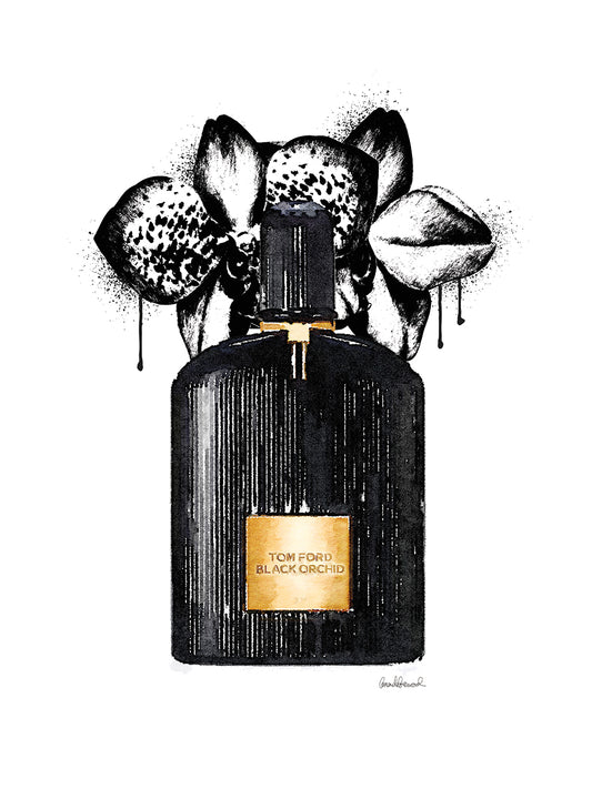 Noir Perfume Orchid