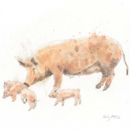 Pig and Piglets
