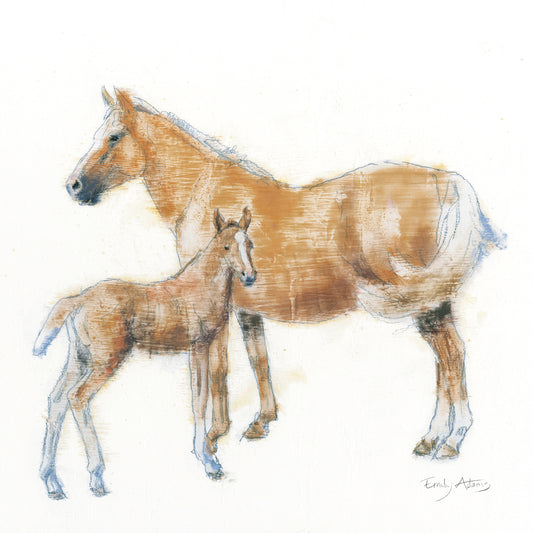 Horse and Colt