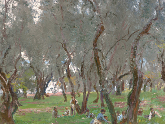 The Olive Grove (1910)