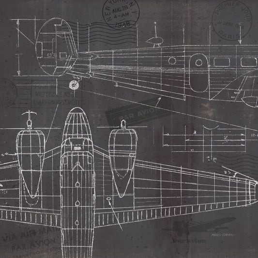 Plane Blueprint II