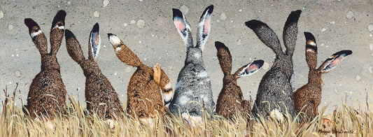 The So and So Hares