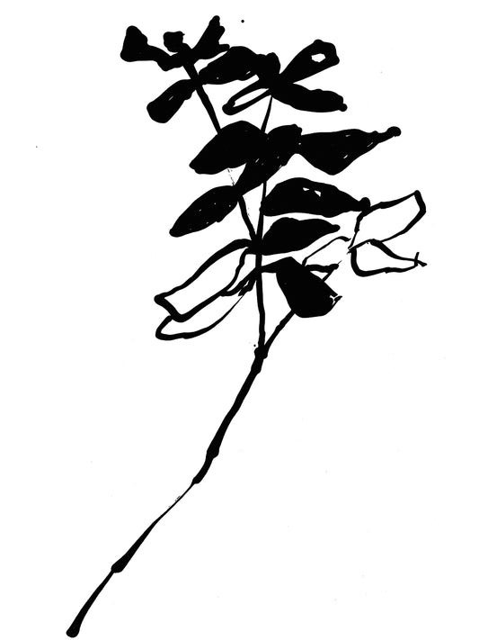 Silhouette Floral II
