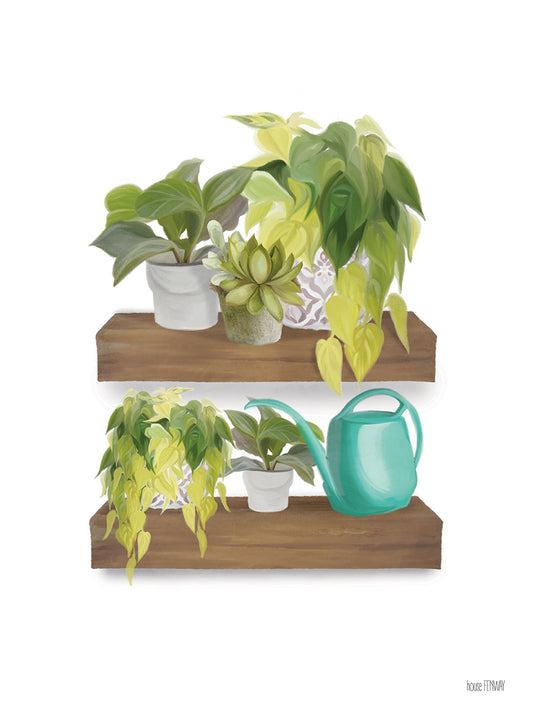 Plant Lover Shelves