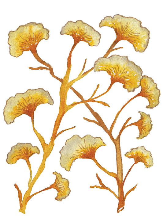 Gold Floral Branches