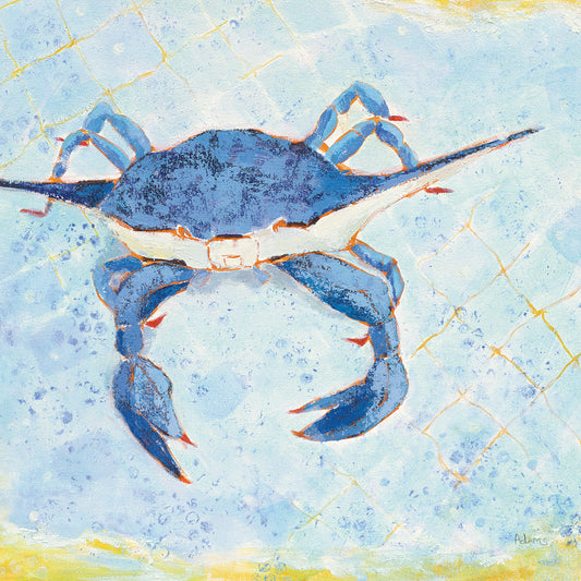 Blue Crab VI