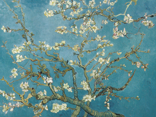 Almond Blossom (c.1890)