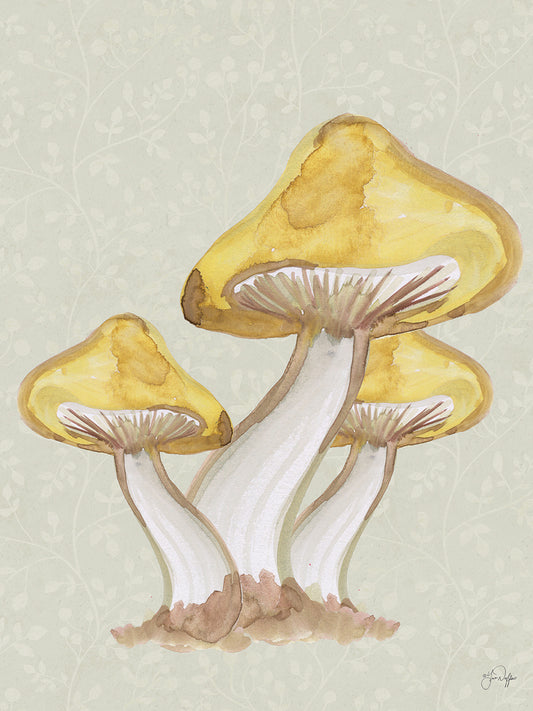 Calming Mushrooms