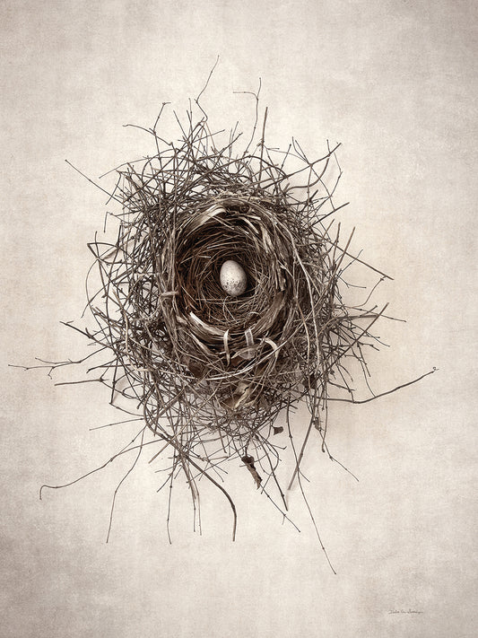 Nest I