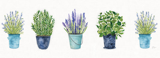 Herbs In A Row