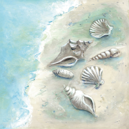 Beach Shells II