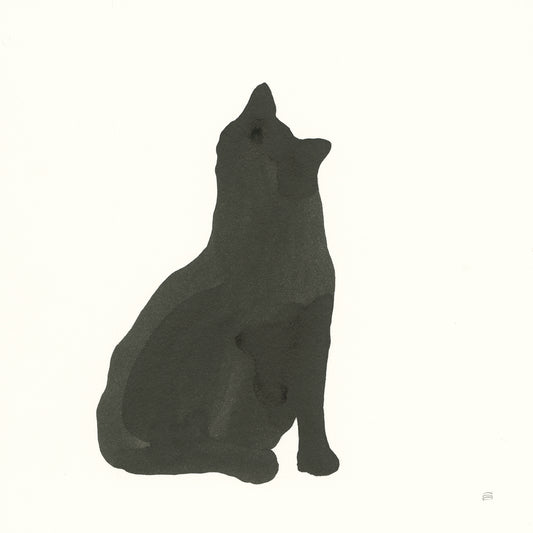 Black Cat I