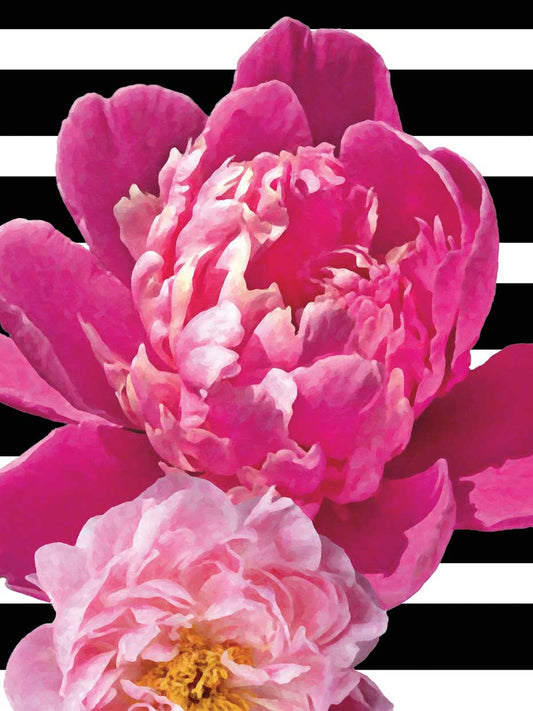 Peonies on Black and White Stripes 18x24 wall art