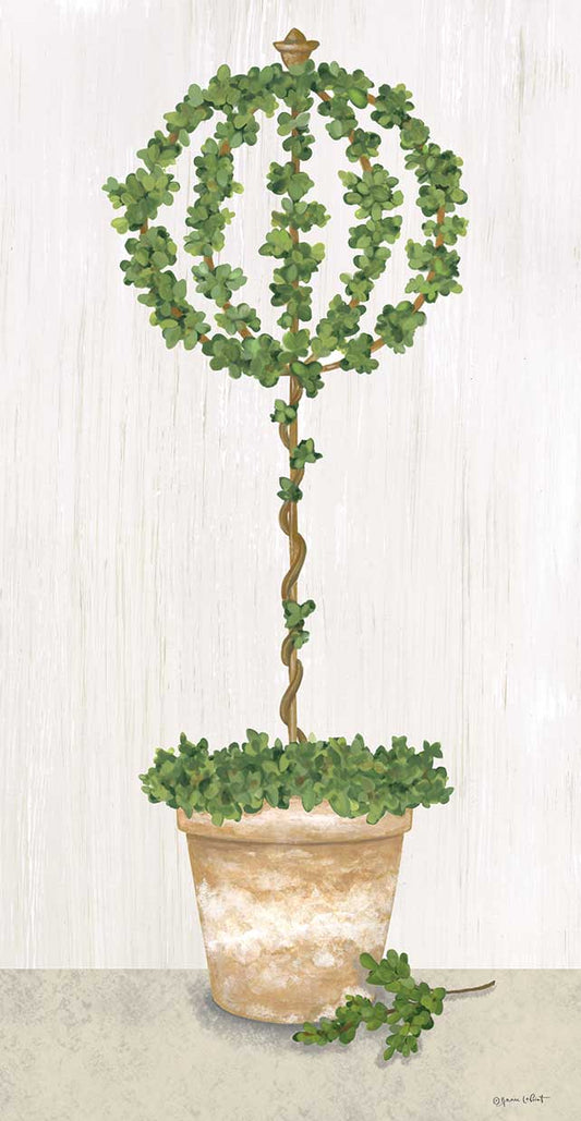 Boxwood Trained Topiary