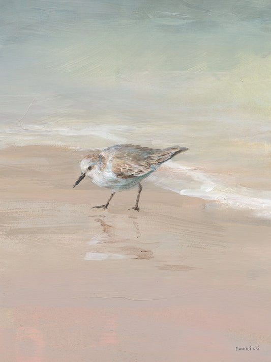 Shorebirds on the Sand III