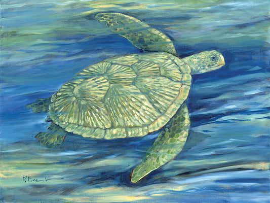 Blue Lagoon Sea Turtle III