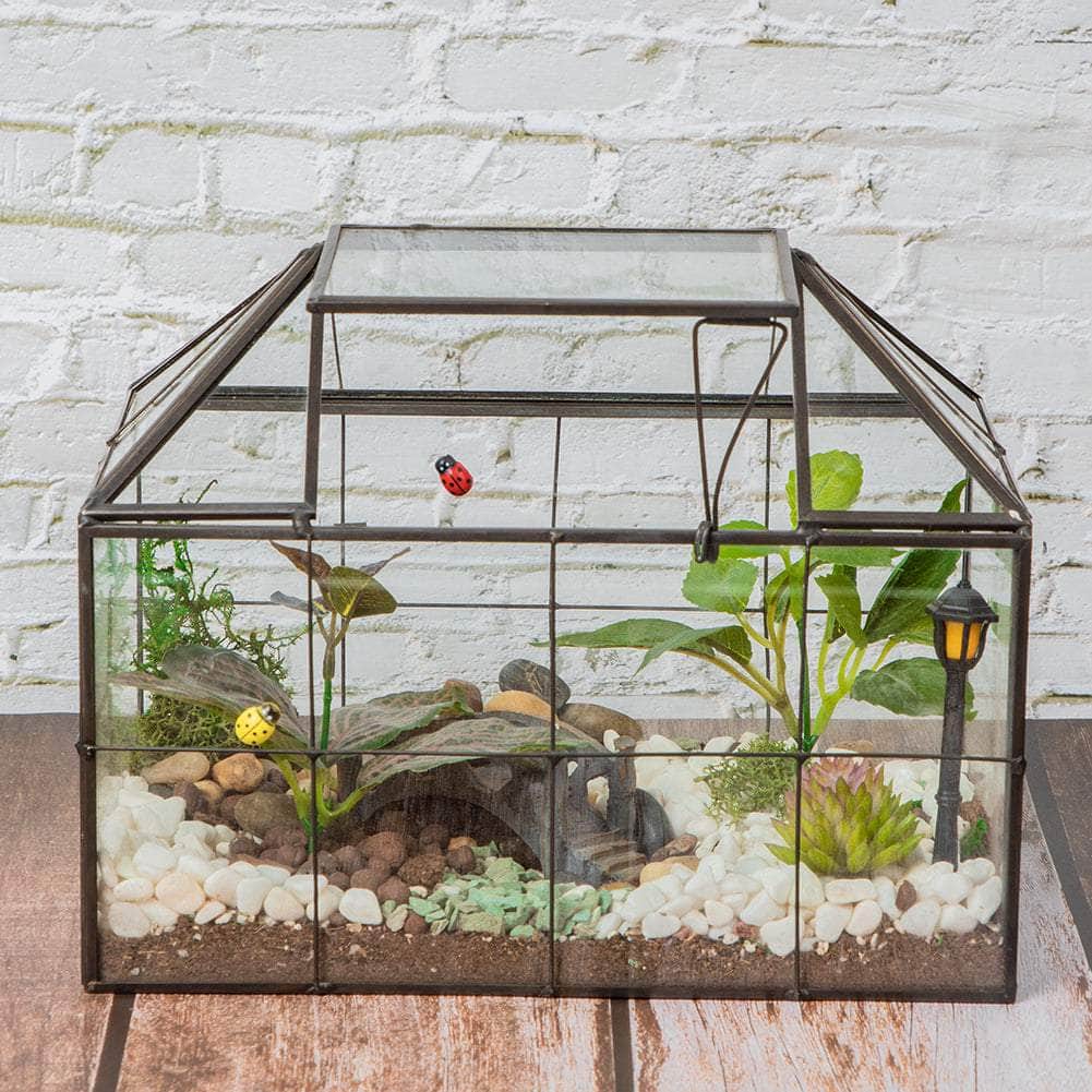 Ferrisland House Glass Terrarium, Diy Glass Terrarium for Decor