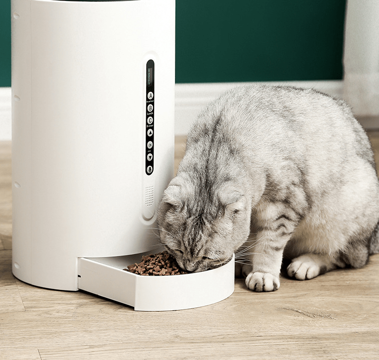 Dog & Cat Smart Feeder Pet Supplies Timing