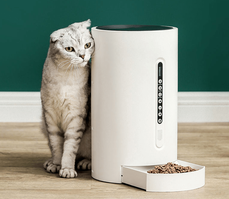 Dog & Cat Smart Feeder Pet Supplies Timing