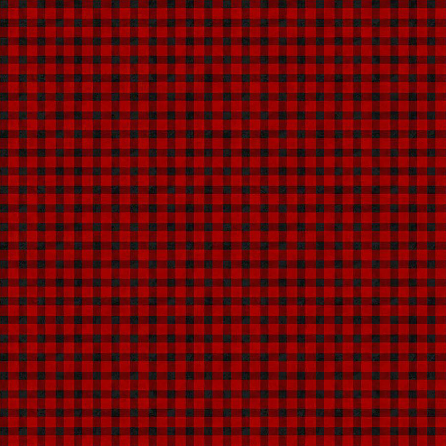  Beary Merry Christmas Check Red Black 